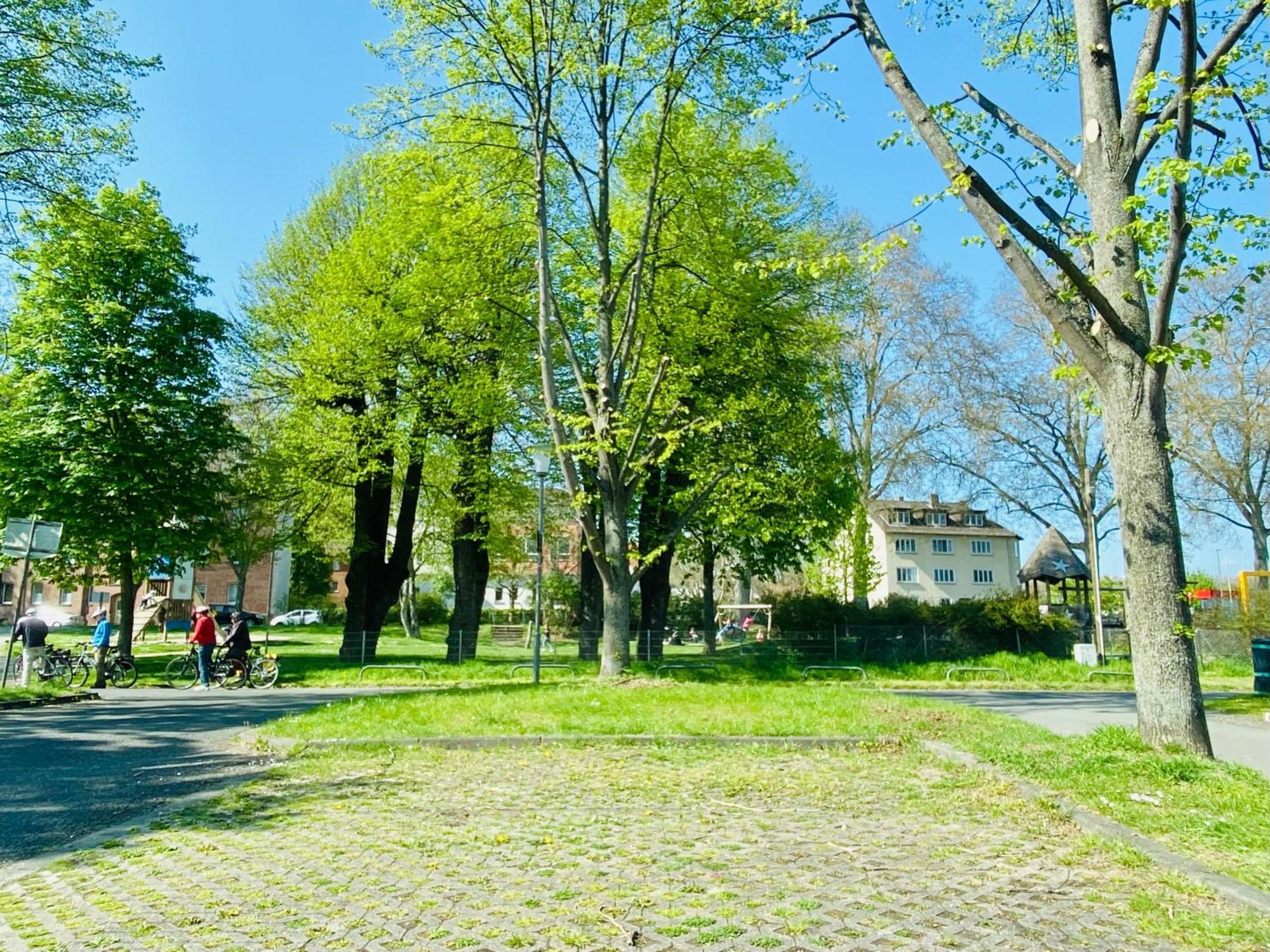 Kassel: Alles, Was Du Brauchst! Екстер'єр фото