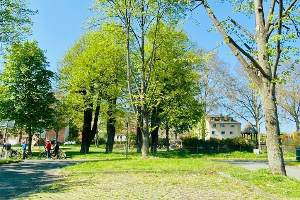 Kassel: Alles, Was Du Brauchst! Екстер'єр фото